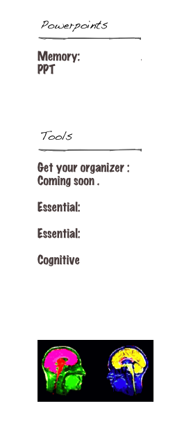 ￼
￼
Memory: Introduction. PPT

Cognitive Perspective framework : PPT.

￼
￼
Get your organizer : Coming soon .

Essential: Crane’s IB Site

Essential: Glassman Text

Cognitive Demonstrations

A primer on language acquisition

￼